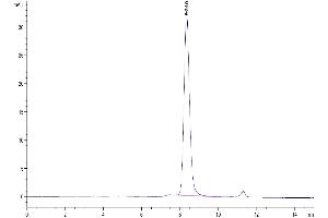 Size-exclusion chromatography-High Pressure Liquid Chromatography (SEC-HPLC) image for Cytokine-Like 1 (CYTL1) (AA 23-136) protein (Fc Tag) (ABIN7274010)