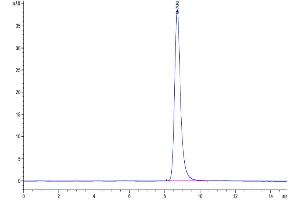 Size-exclusion chromatography-High Pressure Liquid Chromatography (SEC-HPLC) image for Low Density Lipoprotein Receptor Related Protein 10 (LRP10) (AA 18-441) protein (His tag) (ABIN7275211)