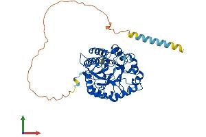 AlphaFold protein structure predicition of Mouse Recombinant Manea Protein, UniprotID Q6NXH2 (MANEA Protein (AA 1-462) (His tag))