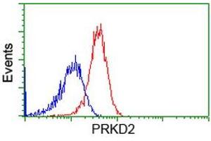 HEK293T cells transfected with either RC215335 overexpress plasmid (Red) or empty vector control plasmid (Blue) were immunostained by anti-PRKD2 antibody (ABIN2453510), and then analyzed by flow cytometry.