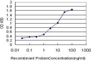 Detection limit for recombinant GST tagged HNMT is approximately 0. (HNMT antibody  (AA 184-292))