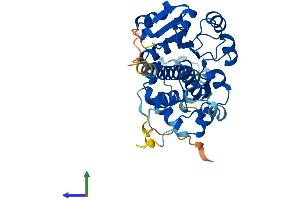 AlphaFold protein structure predicition of Human Recombinant NOXRED1 Protein, UniprotID Q6NXP6