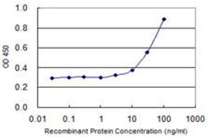 Detection limit for recombinant GST tagged ZFHX4 is 1 ng/ml as a capture antibody. (ZFHX4 antibody  (AA 2-93))