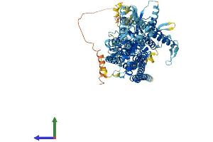 AlphaFold protein structure predicition of Mouse Recombinant Ano5 Protein, UniprotID Q75UR0