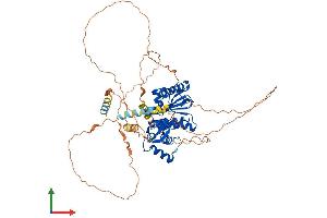 AlphaFold protein structure predicition of Mouse Recombinant Senp2 Protein, UniprotID Q91ZX6