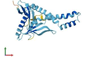 Protein Structure (PS) image for N-Acetyltransferase 14 (GCN5-Related, Putative) (NAT14) (AA 1-206) protein (His tag) (ABIN7549704)