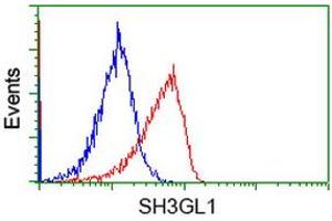 Image no. 1 for anti-SH3-Domain GRB2-Like 1 (SH3GL1) antibody (ABIN1500918) (SH3GL1 antibody)