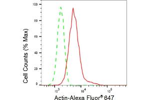 Flow cytometric analysis of Actin expression in HT- cells using Actin antibody (ABIN7797461), 1:2,000). (Recombinant Actin antibody)
