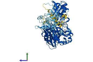 AlphaFold protein structure predicition of Human Recombinant PLCD1 Protein, UniprotID P51178
