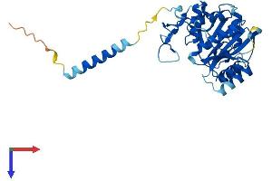 B3GALNT1 Protein (AA 1-331) (His tag)