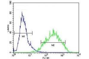 RAN antibody flow cytometric analysis of NIH3T3 cells (green) compared to a negative control (blue). (RAN antibody  (AA 112-140))