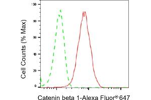 Flow cytometric analysis of Catenin beta 1 expression in HT- cells using Catenin beta 1 antibody (ABIN7797927), 1:2,000). (CTNNB1 antibody)