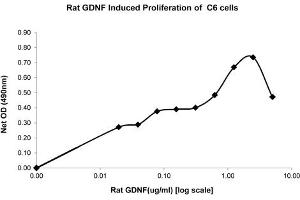 SDS-PAGE of Rat Glial Derived Neurotrophic Factor Recombinant Protein Bioactivity of Rat Glial Derived Neurotrophic Factor Recombinant Protein. (GDNF Protein)