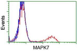 HEK293T cells transfected with either RC203506 overexpress plasmid (Red) or empty vector control plasmid (Blue) were immunostained by anti-MAPK7 antibody (ABIN2454052), and then analyzed by flow cytometry.
