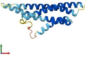 AlphaFold protein structure predicition of Human Recombinant CNIH3 Protein, UniprotID Q8TBE1 (CNIH3 Protein (AA 1-160) (His tag))