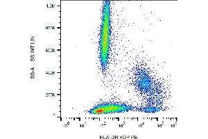 Flow cytometry analysis (surface staining) of human peripheral blood with anti-(HL-38) PE. (HLA-DP/DR antibody  (PE))