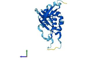Protein Structure (PS) image for Ribosomal Protein S7 (RPS7) (AA 1-194) protein (His tag) (ABIN7551568)