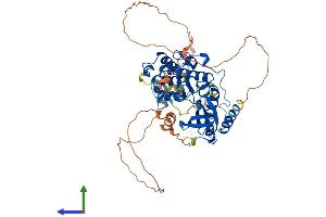 Protein Structure (PS) image for Mitogen-Activated Protein Kinase 15 (MAPK15) (AA 1-549) protein (His tag) (ABIN7558434)