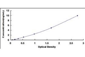 IRF9 ELISA Kit