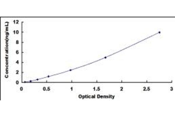 IRF9 ELISA Kit