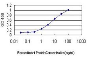Detection limit for recombinant GST tagged MTMR2 is approximately 0. (MTMR2 antibody  (AA 5-100))