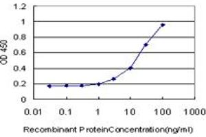 Detection limit for recombinant GST tagged C19orf10 is approximately 1ng/ml as a capture antibody. (C19orf10 antibody  (AA 1-173))