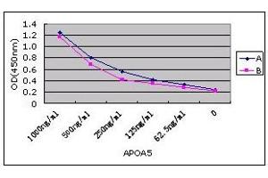 Sandwich ELISA using antibody pair to detect APOA5 protein. (APOA5 antibody)