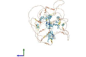 AlphaFold protein structure predicition of Human Recombinant ZFPM1 Protein, UniprotID Q8IX07