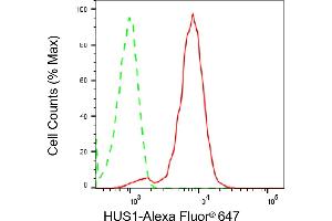 Flow cytometric analysis of HUS1 expression in HepG2 cells using HUS1 antibody (ABIN7799007), 1:2,000). (Recombinant HUS1 antibody)