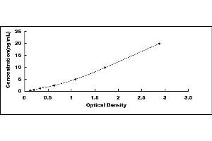 Typical standard curve (TIMP1 ELISA Kit)