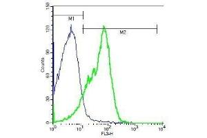 ITGA4 antibody  (AA 551-650)