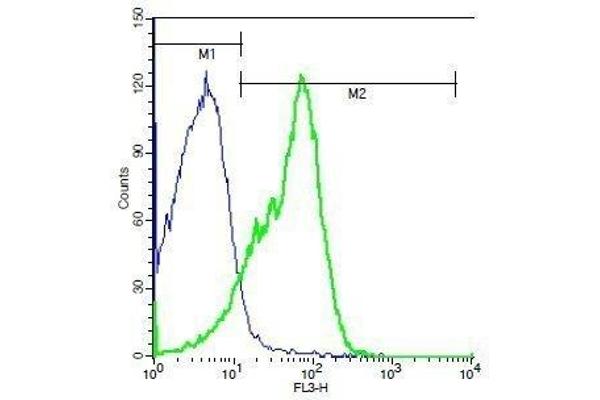 ITGA4 antibody  (AA 551-650)