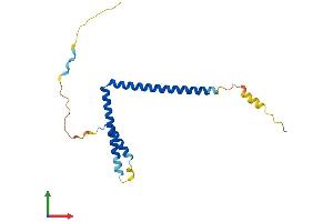Protein Structure (PS) image for Mediator Complex Subunit 28 (MED28) (AA 1-178) protein (His tag) (ABIN7560172)