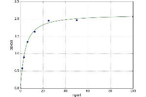 Ribonuclease, RNase A Family, 7 (RNASE7) ELISA Kit
