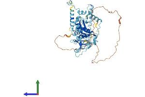 AlphaFold protein structure predicition of Human Recombinant TSEN54 Protein, UniprotID Q7Z6J9 (TSEN54 Protein (AA 1-526) (His tag))