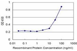 Detection limit for recombinant GST tagged SMAD6 is approximately 3ng/ml as a capture antibody. (SMAD6 antibody  (AA 285-384))