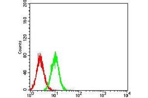 Flow cytometric analysis of *** cells using Hela mouse mAb (green) and negative control (red). (TdT antibody  (AA 52-192))