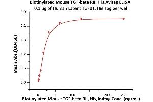 Immobilized Human Latent TGFB1, His Tag (ABIN4949126,ABIN4949127) at 1 μg/mL (100 μL/well) can bind Biotinylated Mouse  RII, His,Avitag (ABIN6973279) with a linear range of 1-31 ng/mL (QC tested). (TGFBR2 Protein (AA 24-184) (His tag,AVI tag,Biotin))