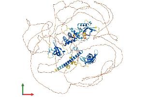 AlphaFold protein structure predicition of Human Recombinant ARID4B Protein, UniprotID Q4LE39 (BRCAA1 Protein (AA 1-1312) (His tag))