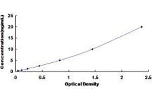 Typical standard curve (CYP2B6 ELISA Kit)