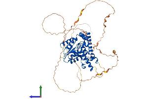 AlphaFold protein structure predicition of Mouse Recombinant Eya2 Protein, UniprotID O08575