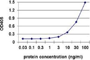 Sandwich ELISA detection sensitivity ranging from 1 ng/ml to 100 ng/ml.