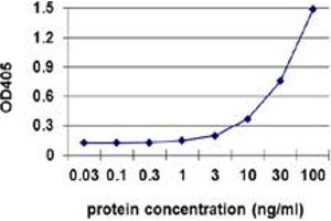 Sandwich ELISA detection sensitivity ranging from 1 ng/ml to 100 ng/ml. (TK1 (Human) Matched Antibody Pair)
