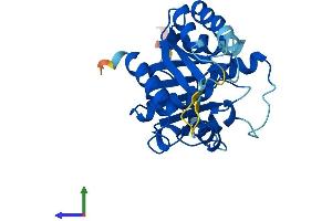 Protein Structure (PS) image for Nucleotide Binding Protein 2 (NUBP2) (AA 1-271) protein (His tag) (ABIN7549995)