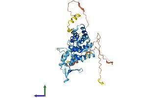 AlphaFold protein structure predicition of Mouse Recombinant Eif5 Protein, UniprotID P59325 (EIF5 Protein (AA 1-429) (His tag))