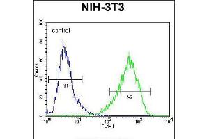 Flow cytometric analysis of NIH-3T3 cells (right histogram) compared to a negative control cell (left histogram). (HOMEZ antibody  (N-Term))