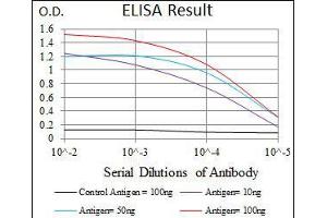 Black line: Control Antigen (100 ng), Purple line: Antigen(10 ng), Blue line: Antigen (50 ng), Red line: Antigen (100 ng), (PLK1 antibody  (AA 331-508))