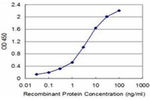 Detection limit for recombinant GST tagged FXN is approximately 0. (Frataxin antibody  (AA 91-200))
