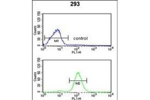 CAT Antibody (Center) (ABIN652564 and ABIN2842380) flow cytometric analysis of 293 cells (bottom histogram) compared to a negative control cell (top histogram). (Catalase antibody  (AA 152-180))