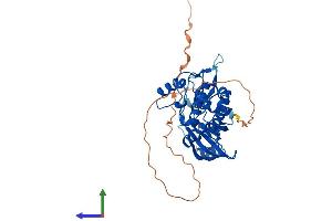 Protein Structure (PS) image for Testis-Specific serine Kinase 1B (TSSK1B) (AA 1-367) protein (His tag) (ABIN7544785)
